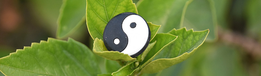 What is Your Karmic Lesson? What is Your Karmic Lesson?