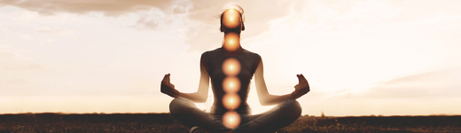 Which Chakra Guides You? Which Chakra Guides You?