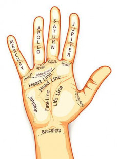 palmistry palmistry