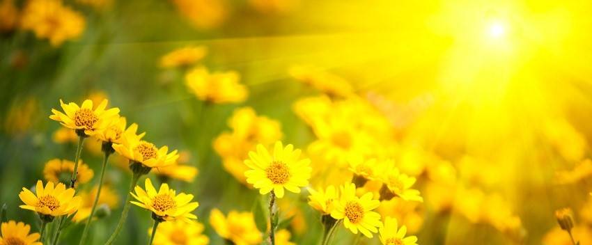 Got the Winter blahs? According to Chinese astrology, Spring is just days away. You\'re welcome.