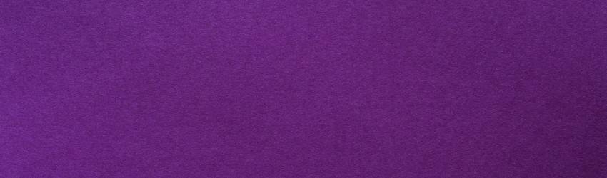 the-color-violet
